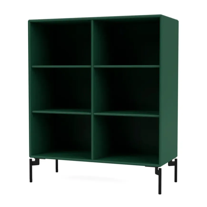 1113 reol inkl. ben fra Montana