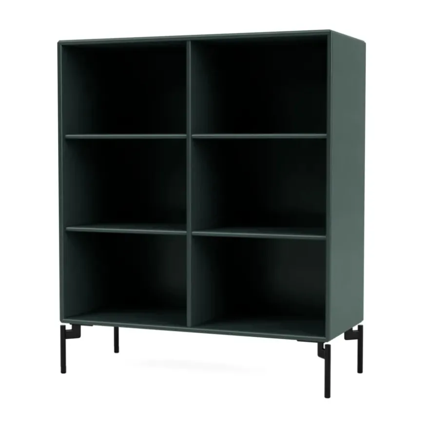 1113 reol inkl. ben fra Montana