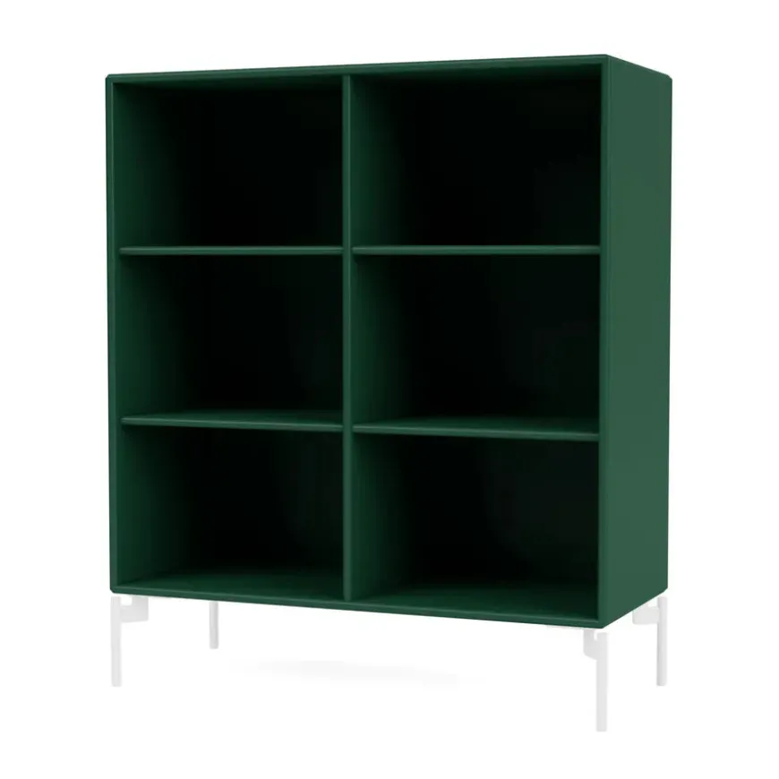 1113 reol inkl. ben fra Montana