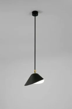 Ceiling Lamp Bookshelves af Serge Mouille