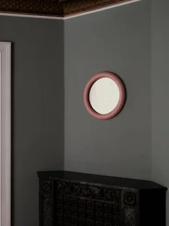 Duplum Spejl, chameleon fra raawii