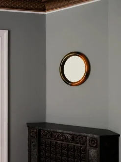 Duplum Spejl, chameleon fra raawii