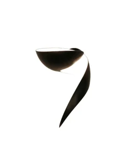 Flame Small Wall Lamp af Serge Mouille