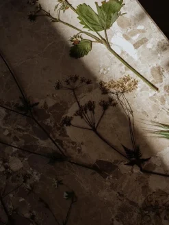 Konkylie Sofabord, marrone fra Wabi Sabi Nordic