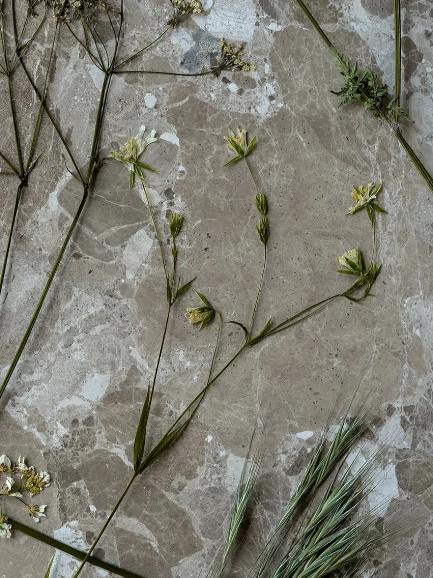 Konkylie Sofabord, marrone fra Wabi Sabi Nordic