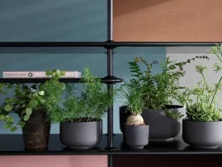 Montana Free Reol 333000, chrome