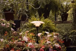 PH 3/2 Pale Rose Bordlampe fra Louis Poulsen