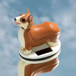 Solar Corgi fra Kikkerland
