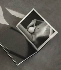 The Reinvention of Forms, Grey fra New Mags